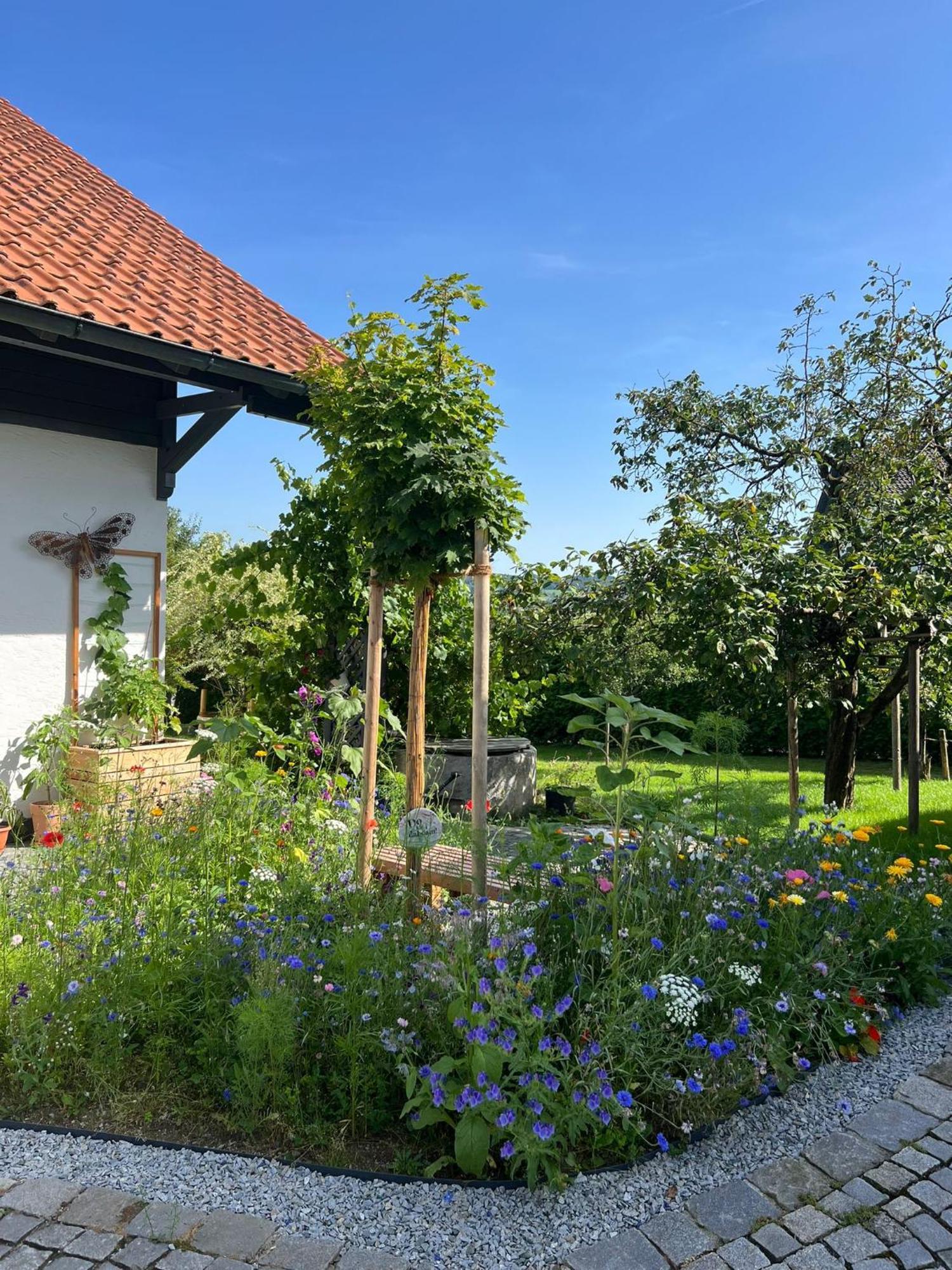 Ferienwohnung Anita Jandelsbrunn ภายนอก รูปภาพ